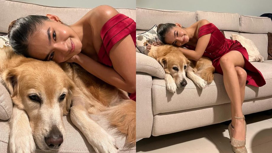 Anushka Sen goes all cuddles with her ‘cutie’, know who 867084