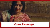 Doree Spoiler: Kailashi Devi vows revenge 870073
