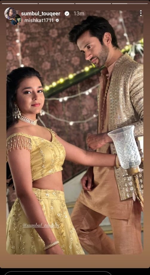 Kavya Star Sumbul Touqeer And Mishkat Varma Serve 'Couple Goals' In Traditional Ensemble 870205