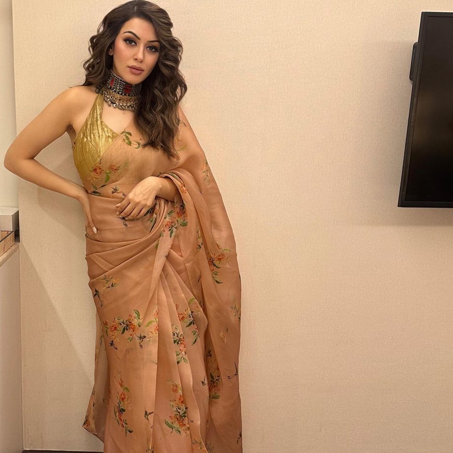 My Name Is Shruthi Promotions: Hansika Motwani ups glam quotient in floral saree 869262