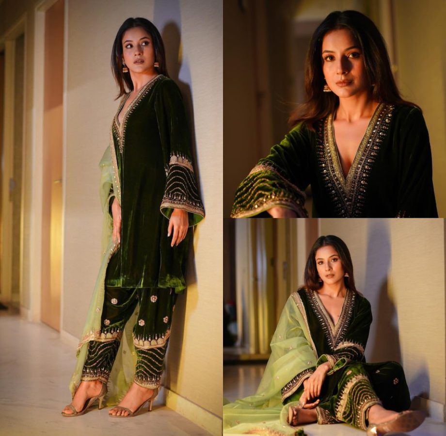 Shehnaaz Gill's Velvet Green Salwar Suit Worth Rs. 38k Is Exquisite Choice This Sangeet 871480