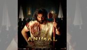 Animal Box Office Day 1: Ranbir Kapoor starrer amasses whopping 61 crores 871727