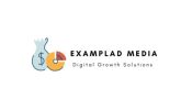 Examplad Media : Empowering Businesses through Digital PR Excellence in India 875495