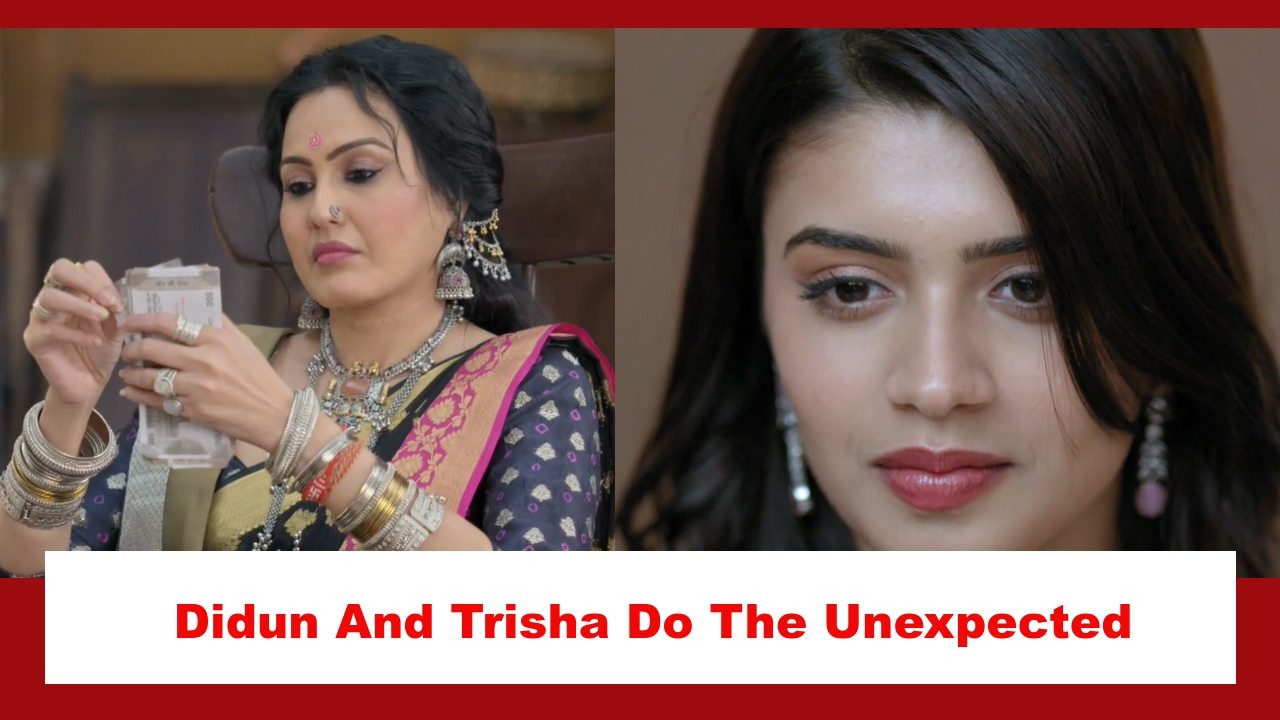 Neerja Ek Nayi Pehchaan Spoiler: Didun and Trisha do the unexpected 874405