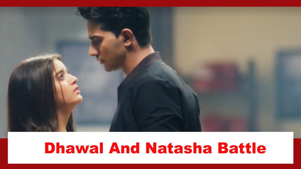 Pandya Store Spoiler: Dhawal and Natasha battle the stress of divorce