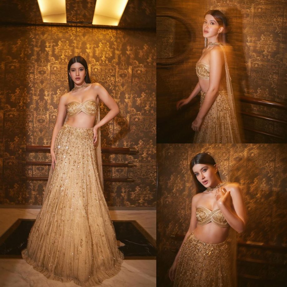 Shanaya Kapoor turns all shimmer in golden embellished contemporary lehenga 875205