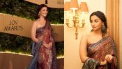Alia Bhatt keeps it royal in intricately embroidered handcrafted saree at Joy Awards 2024, check out