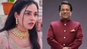 Mera Balam Thanedaar spoiler: Drishti files domestic harassment complaint against Vardhan