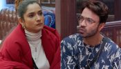 Bigg Boss 17 spoiler: Vicky Jain eats dinner with Mannara Chopra, possessive Ankita gets furious