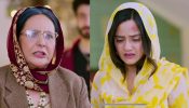 Dalchini Episode 53 Spoiler: Aunt Sarabjeet Insults Dalchini 877064