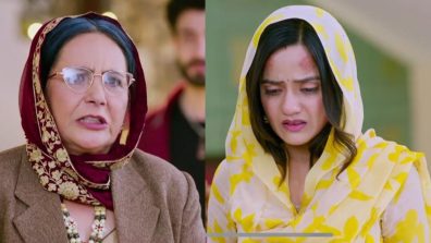 Dalchini Episode 53 Spoiler: Aunt Sarabjeet Insults Dalchini