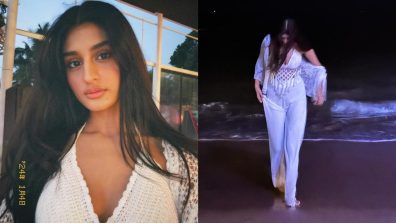 Golden Hour Glow! Payal Gaming Goes Dreamy In Net Dress