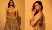 Gorgeous: Palak Tiwari oozes off with charm in beige organza silk lehenga set worth Rs 68000