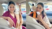 Happy Lohri: Shehnaaz Gill pens a positive note for her fans
