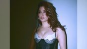 Hotness Alert! Tamannaah Bhatia swoons internet in black and white corset top