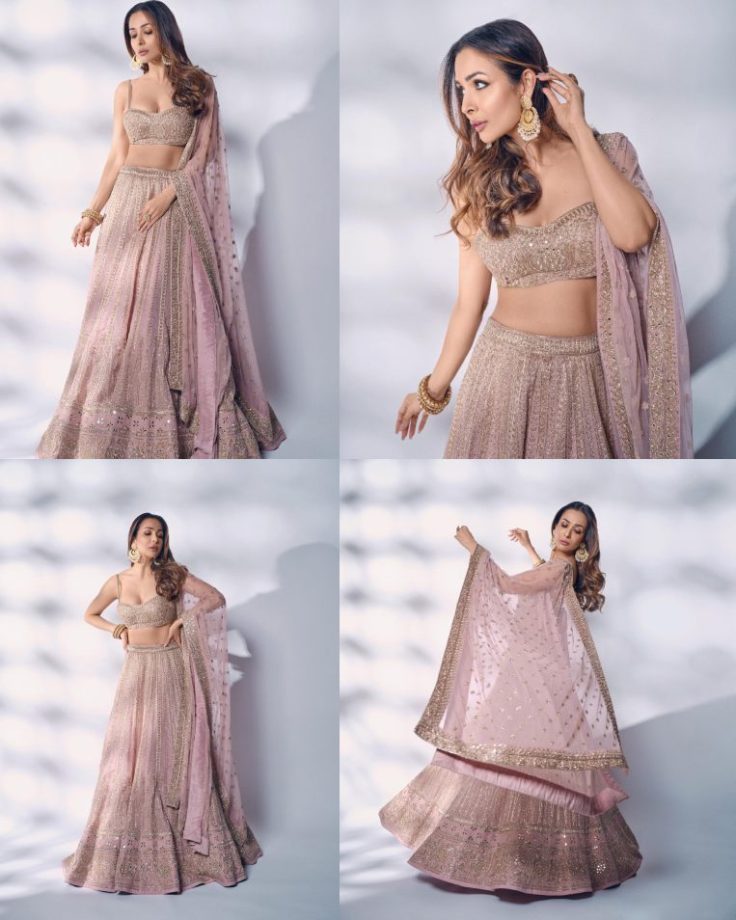 Malaika Arora curls ‘dewy magic’ in baby orchid pink mirror work lehenga set [Photos] 877921