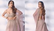 Malaika Arora curls ‘dewy magic’ in baby orchid pink mirror work lehenga set [Photos] 877923