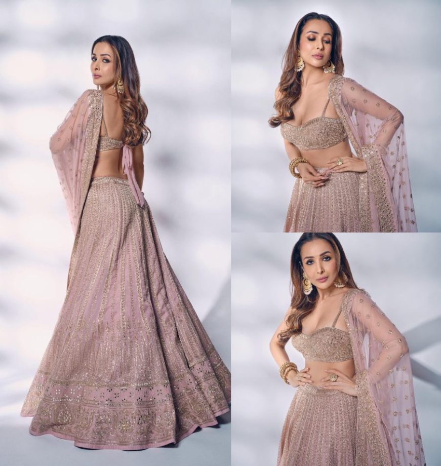 Malaika Arora curls ‘dewy magic’ in baby orchid pink mirror work lehenga set [Photos] 877920