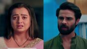 Nath Krishna Aur Gauri Ki Kahani Episode 793 Spoiler: Krishna Doubts Jeet