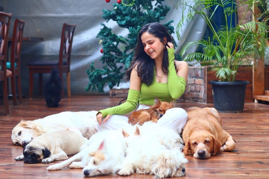 Palak Sindhwani Poses Quirky With Pet Dogs, See Adorable Glimpse 877253