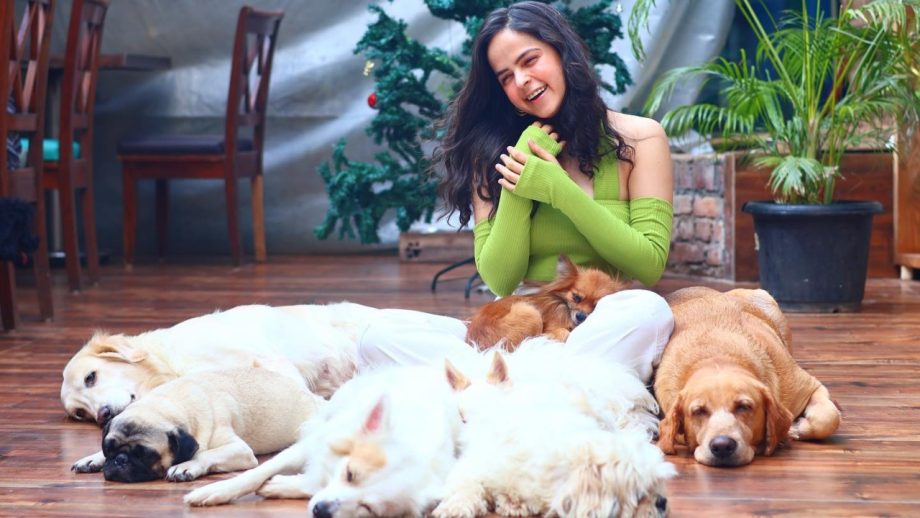 Palak Sindhwani Poses Quirky With Pet Dogs, See Adorable Glimpse 877254