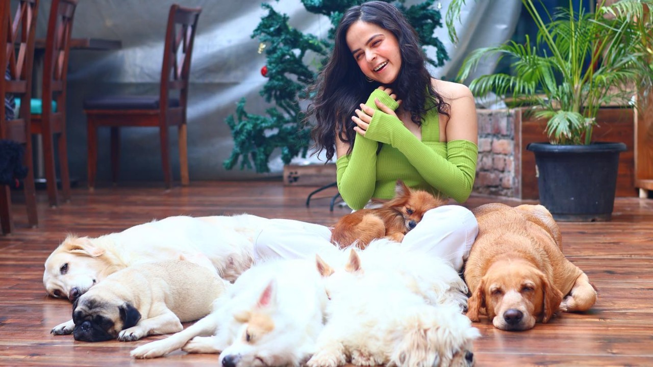 Palak Sindhwani Poses Quirky With Pet Dogs, See Adorable Glimpse 877254