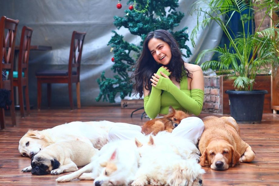 Palak Sindhwani Poses Quirky With Pet Dogs, See Adorable Glimpse 877252