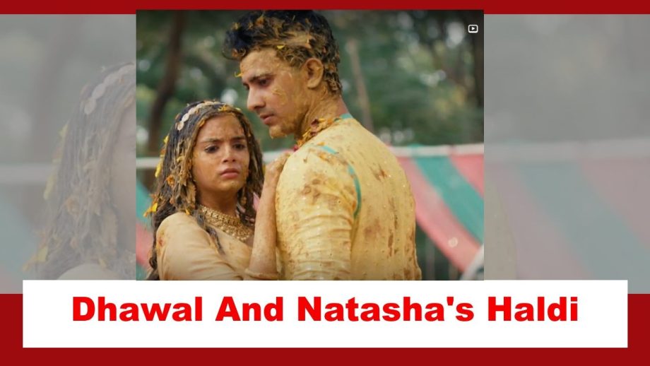 Pandya Store Spoiler: Dhawal and Natasha play with Haldi 876985