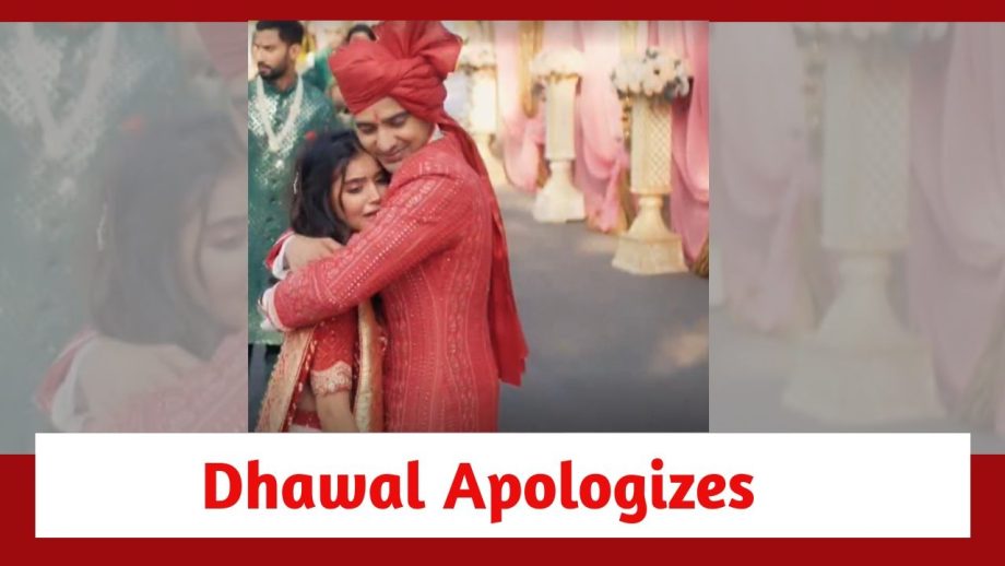 Pandya Store Spoiler: Dhawal apologizes to Natasha 879321