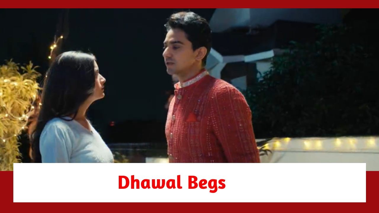 Pandya Store Spoiler: Dhawal begs for Natasha's love 879649