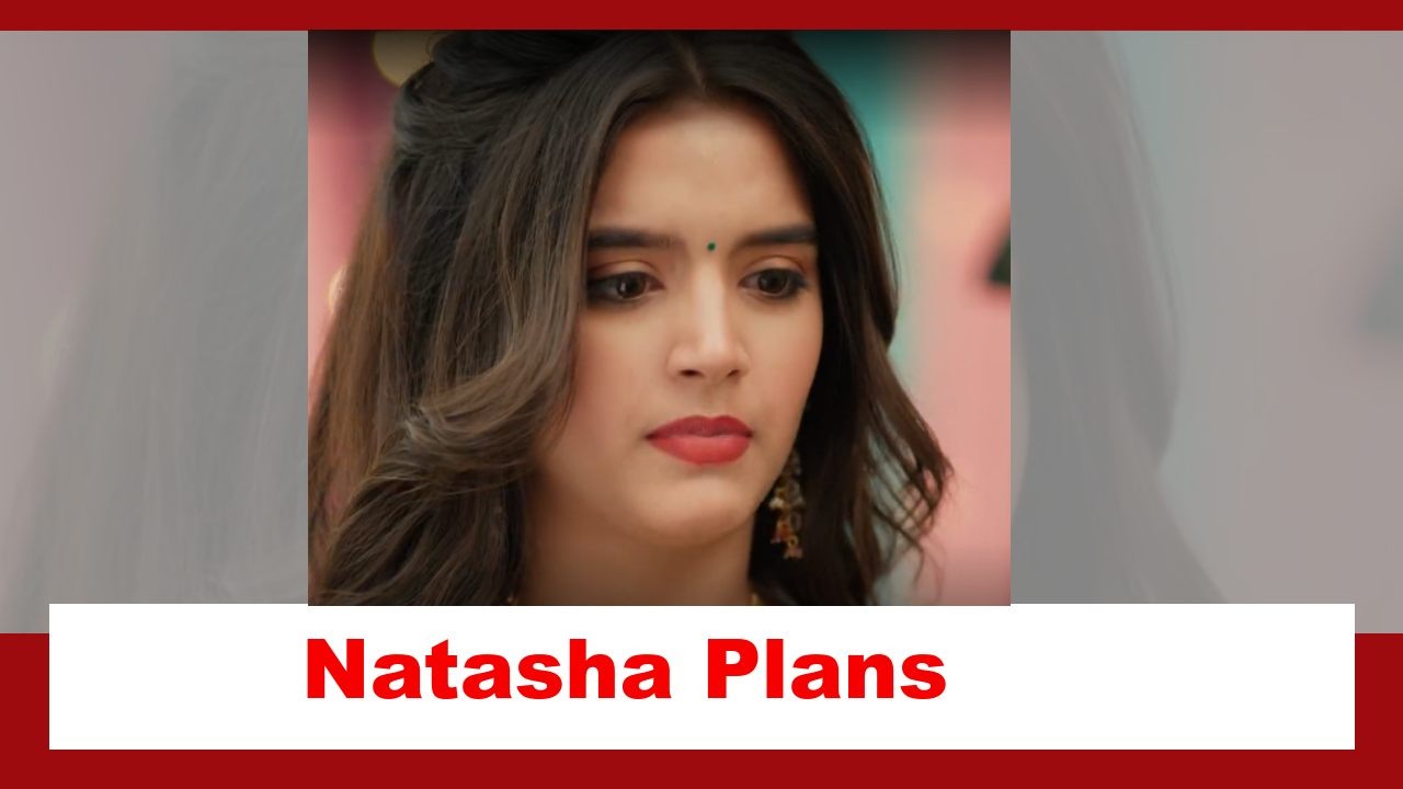 Pandya Store Spoiler: Natasha plans her next move to stop Dhawal's wedding 878218