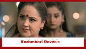 Pyar Ka Pehla Naam Radha Mohan Spoiler: Kadambari reveals a big truth