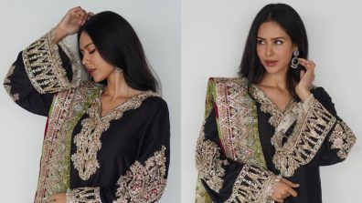 Sonam Bajwa Redefines Royalty In Black Embroidered Salwar Suit, See Photos
