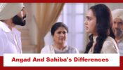 Teri Meri Doriyaann Spoiler: Angad and Sahiba have a difference of opinion