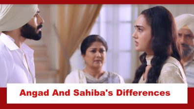 Teri Meri Doriyaann Spoiler: Angad and Sahiba have a difference of opinion