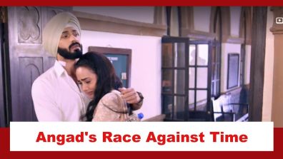 Teri Meri Doriyaann Spoiler: Angad and Sahiba have a race against time