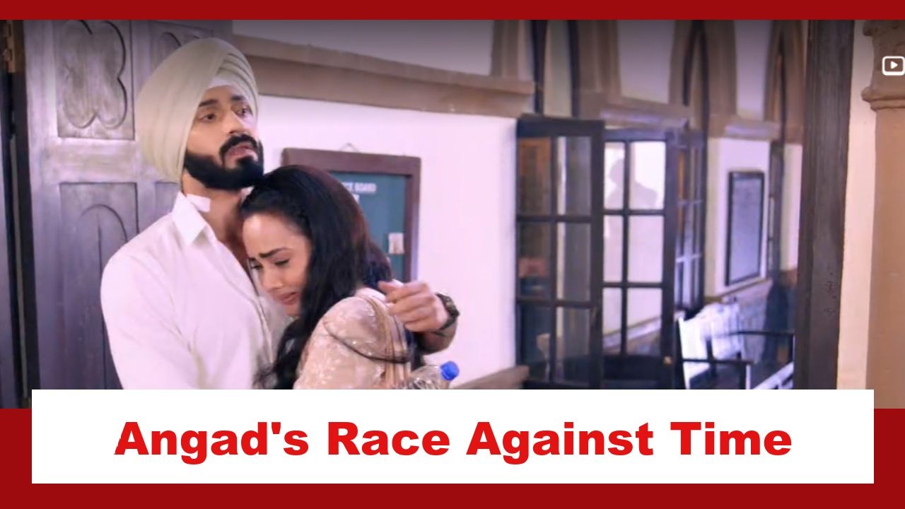 Teri Meri Doriyaann Spoiler: Angad and Sahiba have a race against time 876410