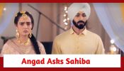 Teri Meri Doriyaann Spoiler: Angad asks Sahiba to break their relationship