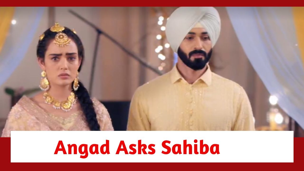 Teri Meri Doriyaann Spoiler: Angad asks Sahiba to break their relationship 878633