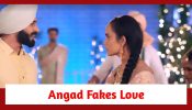 Teri Meri Doriyaann Spoiler: Angad fakes his love for Sahiba
