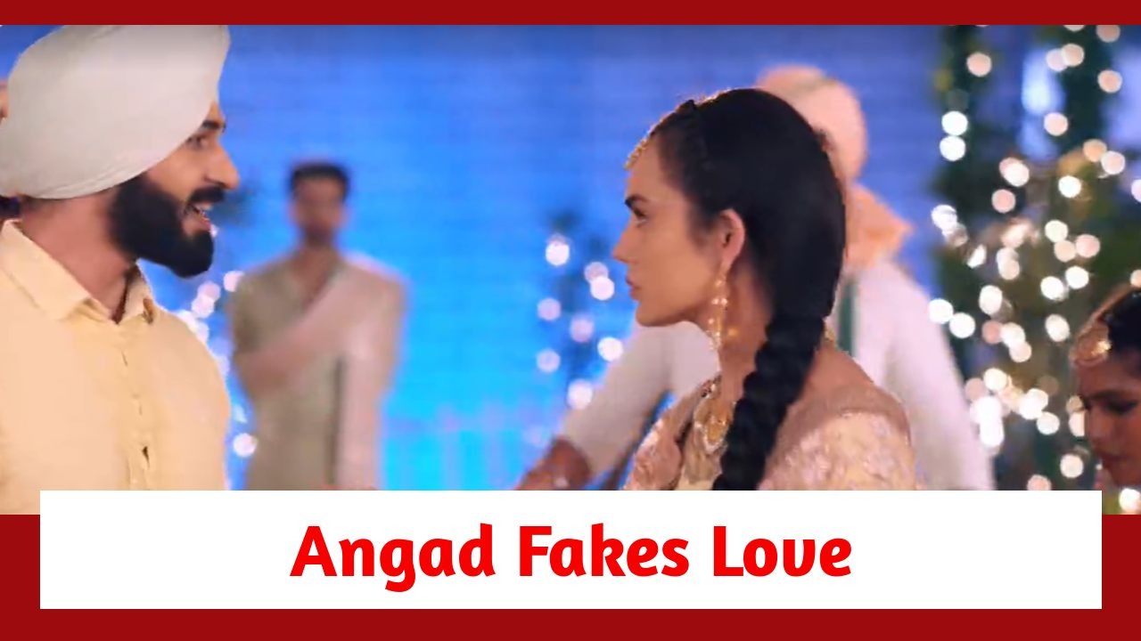 Teri Meri Doriyaann Spoiler: Angad fakes his love for Sahiba