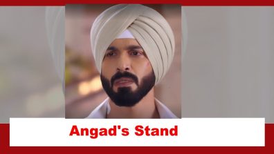 Teri Meri Doriyaann Spoiler: Angad takes a stand