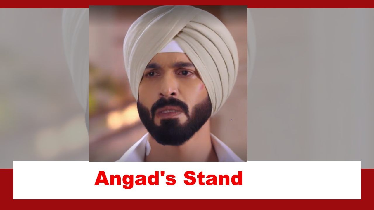 Teri Meri Doriyaann Spoiler: Angad takes a stand 876988