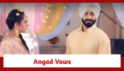 Teri Meri Doriyaann Spoiler: Angad vows to give Sahiba a surprise
