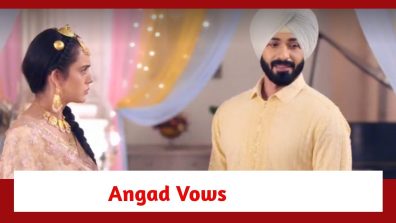 Teri Meri Doriyaann Spoiler: Angad vows to give Sahiba a surprise