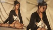 Wamiqa Gabbi is a vision to behold in deep plunge neck black bodycon [Photos]