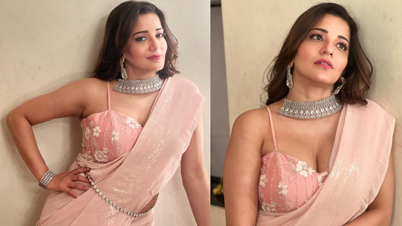 What Sass! Monalisa Strikes A Pose In Blush Pink Saree, See Here 877938