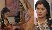 Doree spoiler: Doree and Mansi trap Kailashi to save Maai