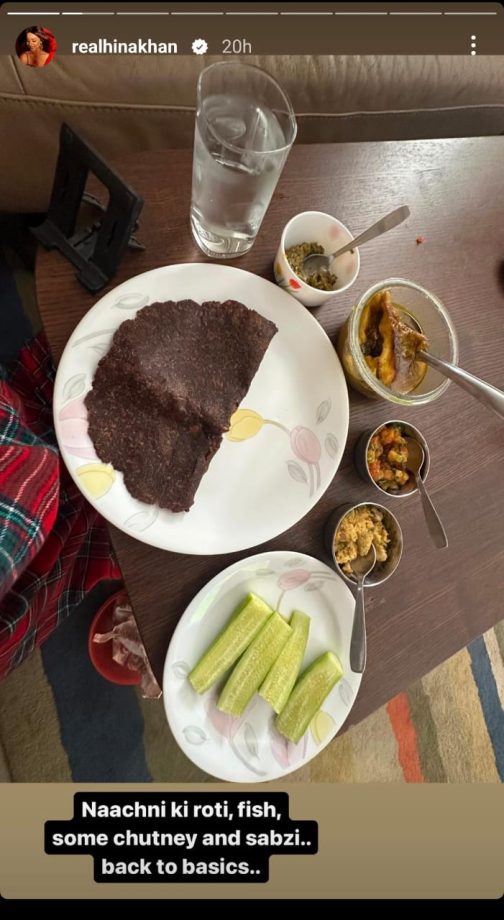 Hina Khan's Nutritious Plate Includes Naachni Roti, Fish And More, Check Out 883005