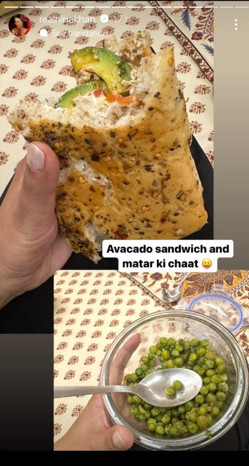 Hina Khan's Nutritious Plate Includes Naachni Roti, Fish And More, Check Out 883004
